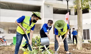 Ngày hội 'Môi trường xanh - Nếp sống xanh'