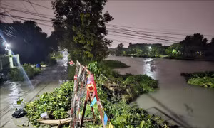 Bình Dương: Hai cây cầu dân sinh bị cuốn trôi sau mưa lớn