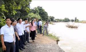Lâm Đồng: Kiểm tra, chỉ đạo khẩn trương khắc phục thiệt hại do mưa lũ   