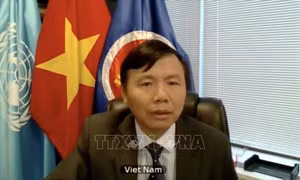 Hội đồng Bảo an LHQ thảo luận vấn đề sử dụng vũ lực trong luật pháp quốc tế 