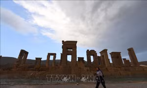 Khu di tích cổ đại Persepolis đối mặt với nguy cơ bị phá hủy do địa y