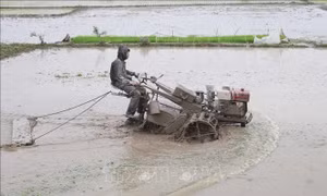 Vĩnh Phúc hỗ trợ máy nông nghiệp cho nông dân