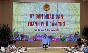 Cần Thơ bàn giải pháp thu mua, xuất khẩu gạo