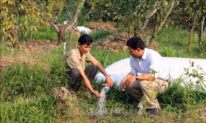Vĩnh Long chủ động phòng, chống hạn, mặn mùa khô
