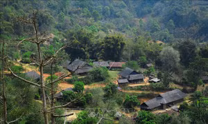 Về lại Pha Đin - 'tọa độ lửa' trong Chiến dịch Điện Biên Phủ