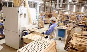 Thị trường ngành gỗ có nhiều tín hiệu tích cực