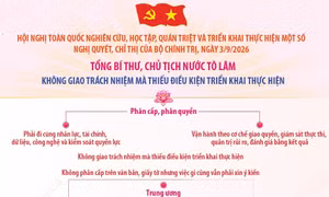 Tổng Bí thư, Chủ tịch nước Tô Lâm: Không giao trách nhiệm mà thiếu điều kiện triển khai thực hiện