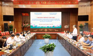 Thứ trưởng Lê Minh Ngân: Điện Biên cần đẩy nhanh tiến độ đo đạc lập bản đồ địa chính