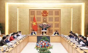 Thủ tướng giao cơ quan chủ đầu tư 2 tuyến cao tốc Ninh Bình - Nam Định - Thái Bình và Gia Nghĩa - Chơn Thành