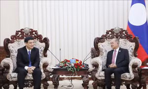 Lãnh đạo Lào đánh giá cao vai trò của Hội Hữu nghị Việt Nam - Lào