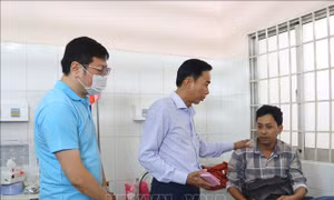 Công bố nguyên nhân vụ ngộ độc thực phẩm làm trên 220 người nhập viện tại Vĩnh Long