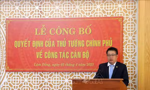 Công bố Quyết định phê chuẩn chức danh Phó Chủ tịch UBND tỉnh Lâm Đồng