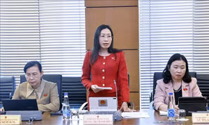 Cân bằng giữa quản lý rủi ro và thúc đẩy phát triển trong ứng dụng trí tuệ nhân tạo