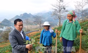Giàng Seo Châu - tài năng trẻ tiêu biểu ở vùng cao Lào Cai