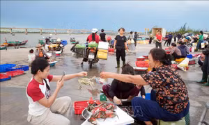 Lan tỏa vẻ đẹp bình dị, chân thực của quê hương trên nền tảng số