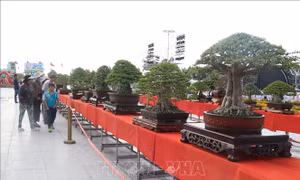 Tăng giá trị cho ngành hàng hoa kiểng