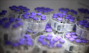 Pfizer bắt đầu thử nghiệm vaccine ngừa COVID-19 ở trẻ em dưới 12 tuổi