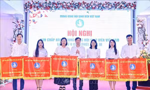 Phát huy vai trò của sinh viên trong chuyển đổi số và phát triển đất nước