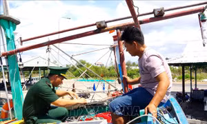 Bình Thuận: Xử phạt tàu cá không duy trì kết nối thiết bị giám sát hành trình