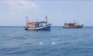 Tạo chuyển biến trong ngư dân về khai thác biển