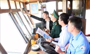 Quảng Trị triệt để ngăn chặn các vi phạm IUU - Bài 1: Siết chặt từ cảng cá đến ngư trường