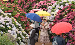 Đảo Jeju vào danh sách 25 điểm đến du lịch hàng đầu thế giới