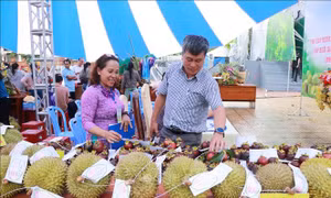 Khai mạc Lễ hội Trái cây Khánh Sơn 2024