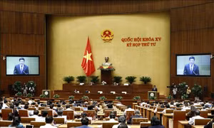 Tăng chế tài bảo vệ quyền lợi người tiêu dùng, góp phần lành mạnh hóa thị trường