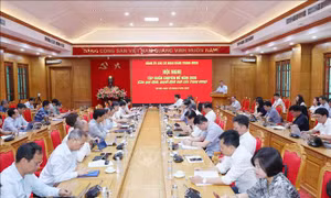 Đảng ủy các cơ quan Đảng Trung ương tập huấn các quy định, quyết định mới của Trung ương