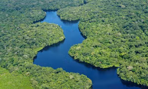 LHQ nhấn mạnh vai trò của người bản địa trong bảo vệ rừng ở Mỹ Latinh, Caribe