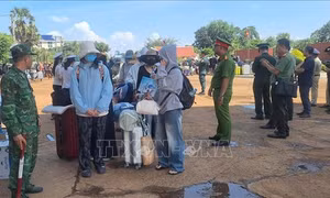 Tiếp nhận 353 công dân Việt Nam do phía Campuchia trao trả