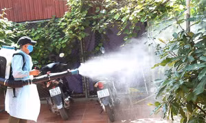 Chủ động xử lý sớm ổ dịch sốt xuất huyết, tránh để bệnh nhân trở nặng mới nhập viện