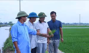 Chuyển biến tích cực từ đội ngũ cán bộ trẻ gần dân, sát dân