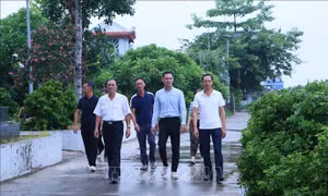 Cán bộ thôn, tổ dân phố đóng bảo hiểm xã hội như thế nào?