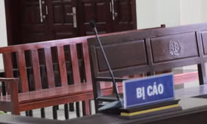 Nhận hối lộ, 2 cựu cán bộ Công an huyện Thanh Trì (Hà Nội) lĩnh án tù 
