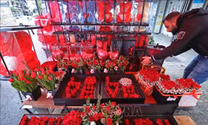 Thế giới trong ngày lễ Valentine