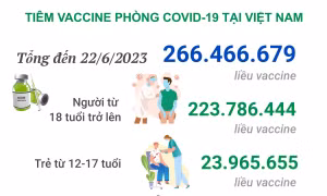 Tình hình tiêm vaccine phòng COVID-19 tại Việt Nam tính đến hết ngày 22/6/2023