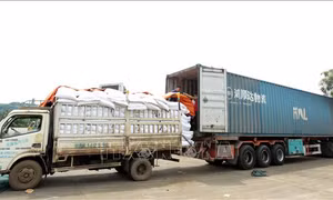 Xây dựng chiến lược đa dạng hóa sản phẩm để phân tán rủi ro