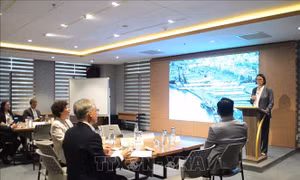 Cải tạo cảng Khánh Hội góp phần gia tăng tiềm năng kinh tế cho TP Hồ Chí Minh