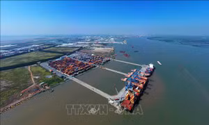 Cảng VIMC Đình Vũ được thí điểm khai thác tàu container trong 6 tháng