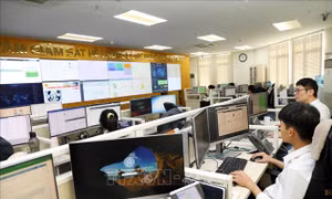 Chống thất thu thuế hộ, cá nhân kinh doanh