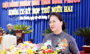 Bình Phước cần phát huy lợi thế của vùng kinh tế trọng điểm Đông Nam Bộ