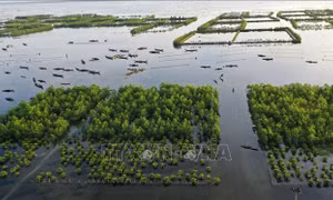 Phát triển hệ đầm phá Tam Giang - Cầu Hai trở thành 'Công viên đầm phá Quốc gia'