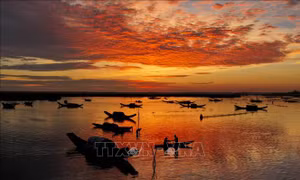 Mưu sinh trên Phá Tam Giang