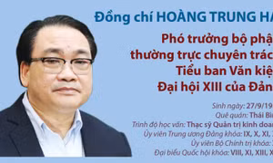 Đồng chí Hoàng Trung Hải - Phó trưởng bộ phận thường trực chuyên trách Tiểu ban Văn kiện Đại hội XIII của Đảng