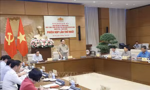 Phiên họp Ban Chỉ đạo kỷ niệm 80 năm Ngày Tổng tuyển cử đầu tiên
