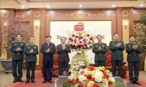 Trưởng Ban Tuyên giáo và Dân vận Trung ương thăm, chúc Tết Quân khu 2