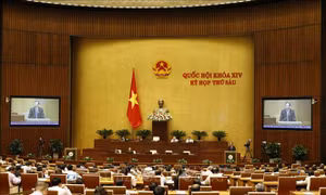 Thông cáo số 14, Kỳ họp thứ 6, Quốc hội khóa XIV