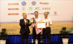 Thông tin về kết quả cuộc thi Gạo ngon Việt Nam năm 2022