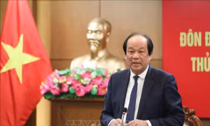 Tổ công tác của Thủ tướng đôn đốc, kiểm tra việc thực hiện nhiệm vụ của Bộ Giáo dục và Đào tạo